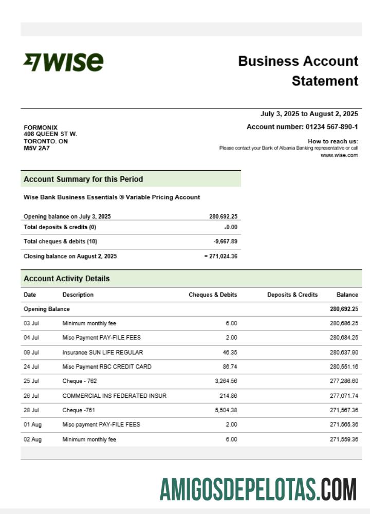 Baixável Wise Company Verificando extrato de conta modelo Word e PDF